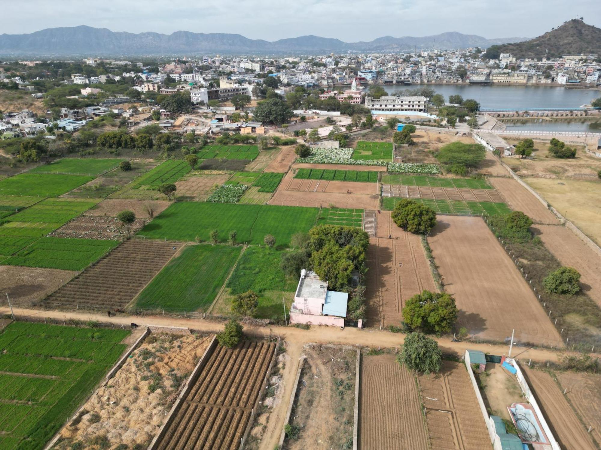 Hotel The Pushkar Flower מראה חיצוני תמונה
