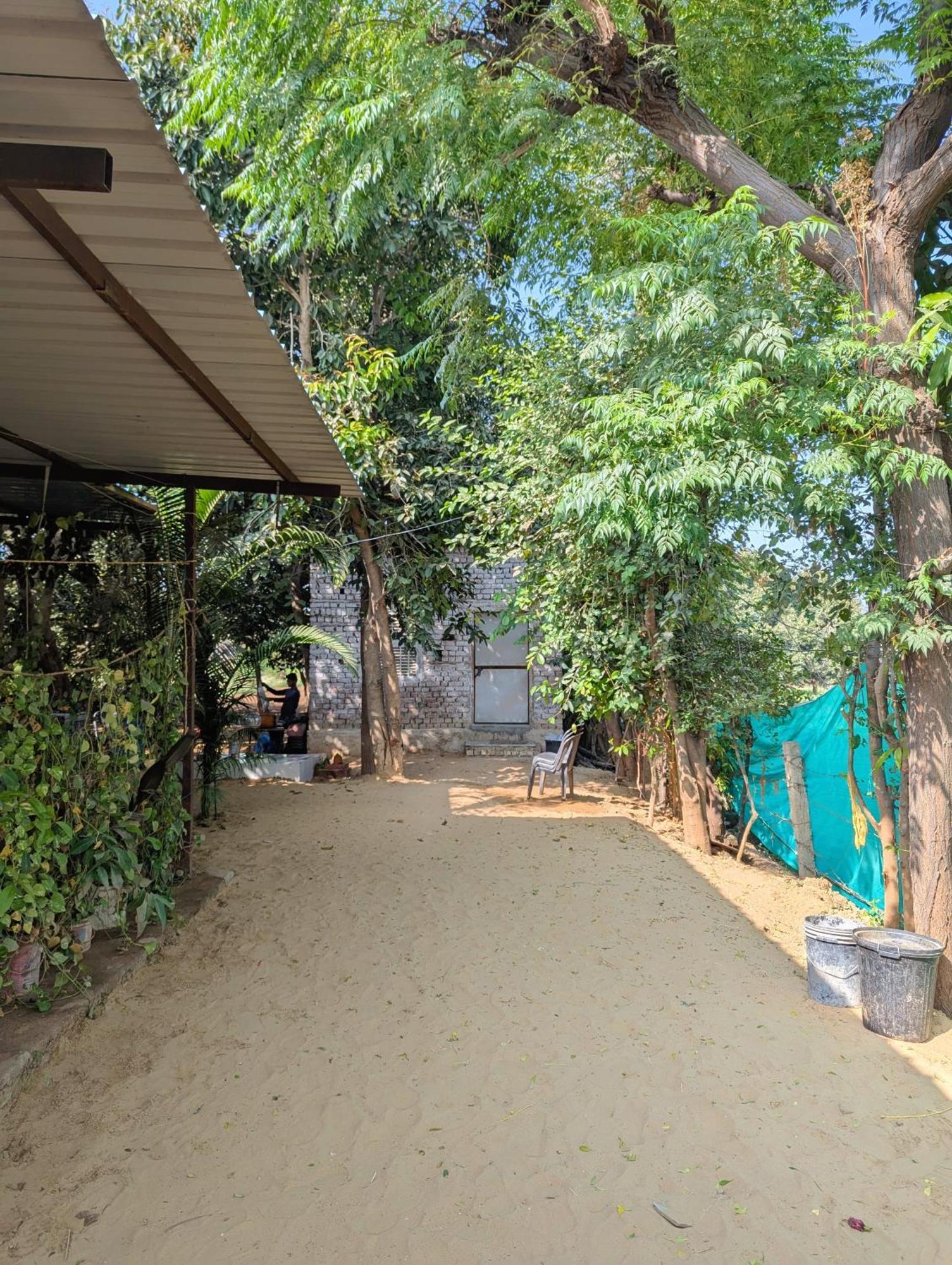 Hotel The Pushkar Flower מראה חיצוני תמונה